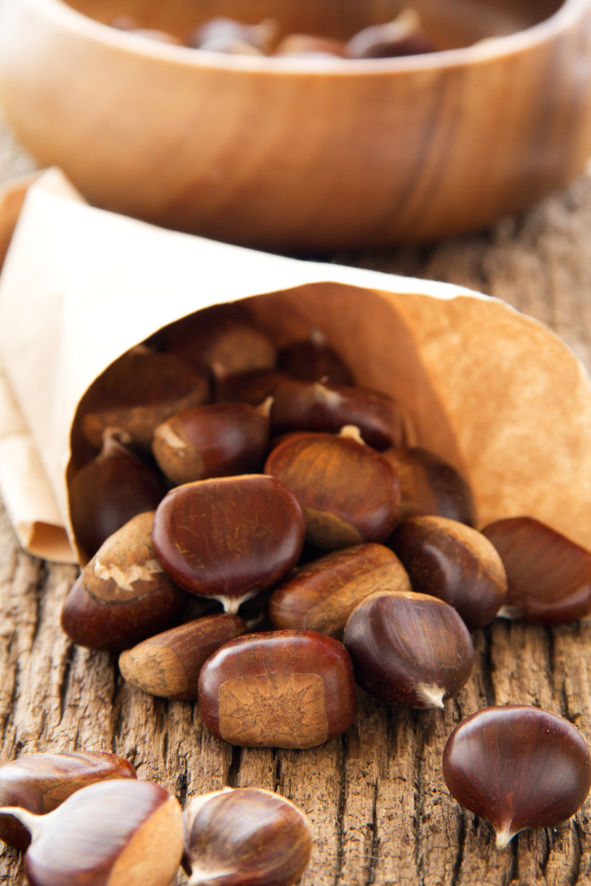 Sagre d'autunno