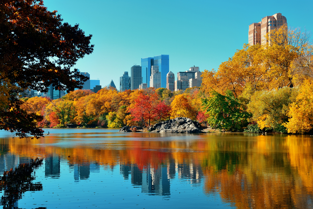 shutterstock_227318326.jpg