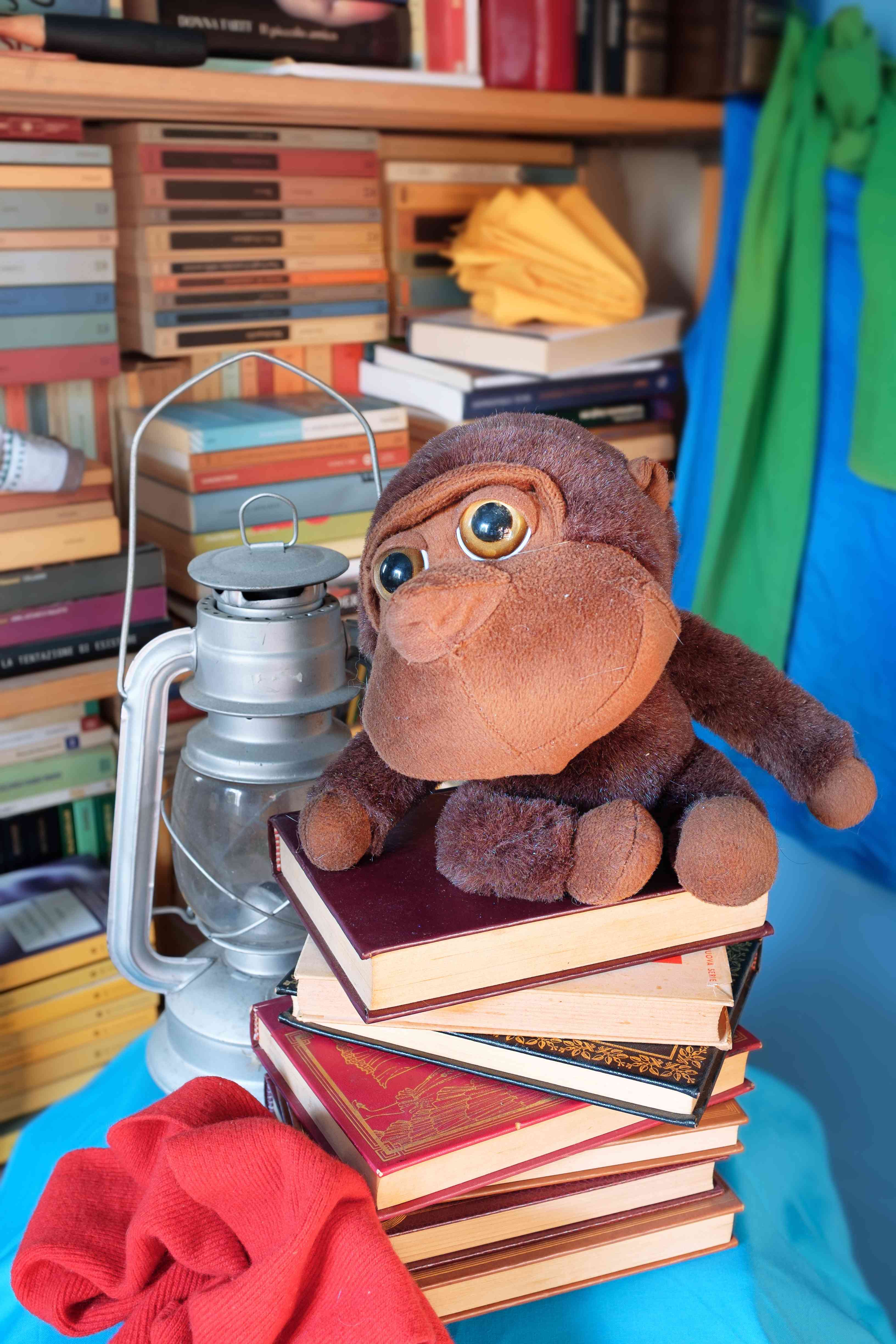 Come organizzare la libreria di casa