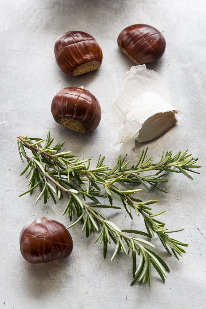Contorno di marroni