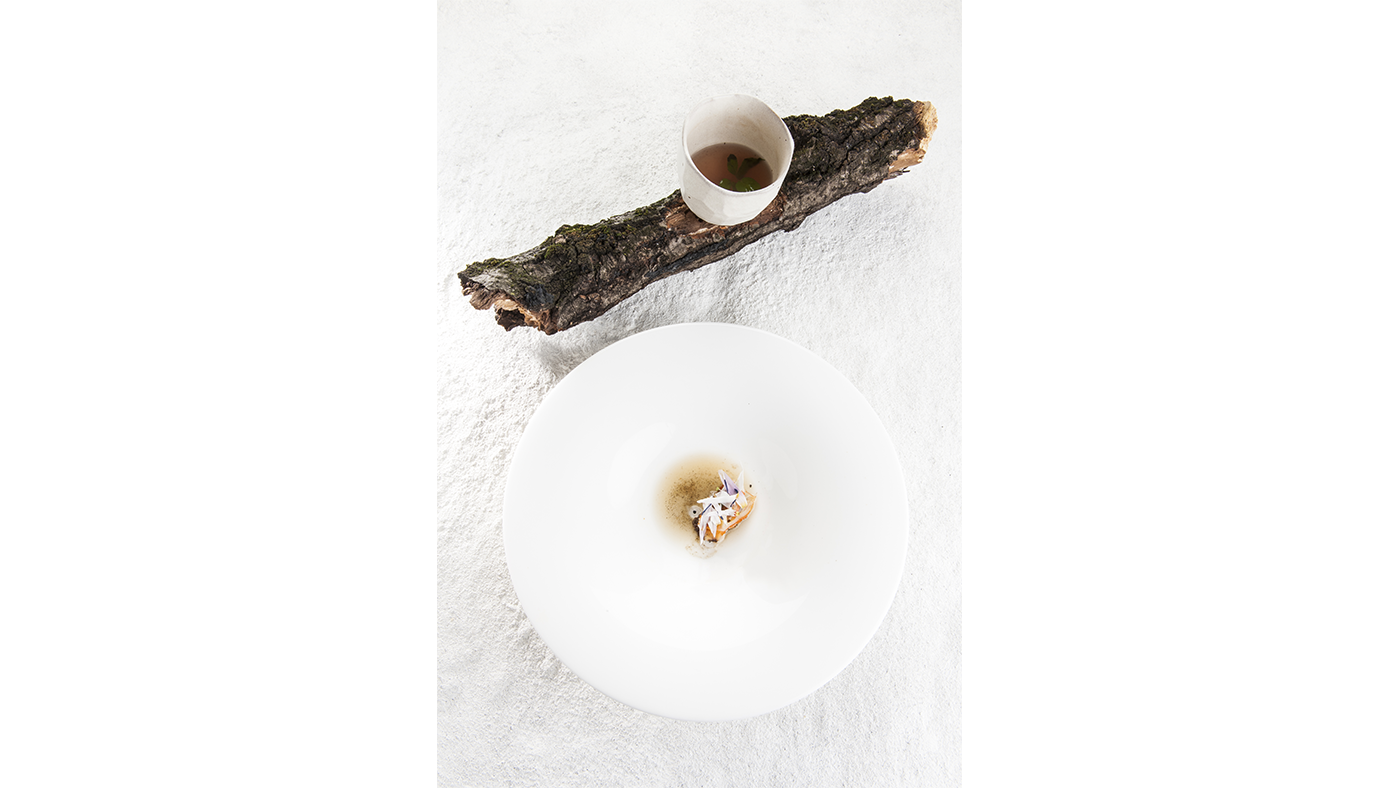 mollusco_e_drink.png