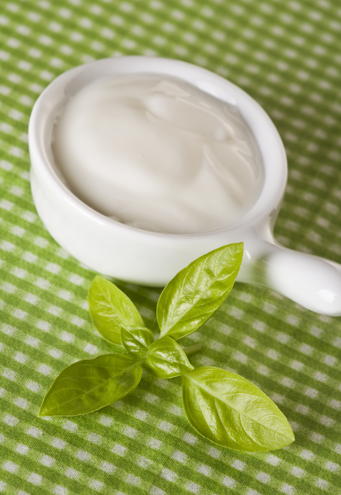 Maionese light allo yogurt