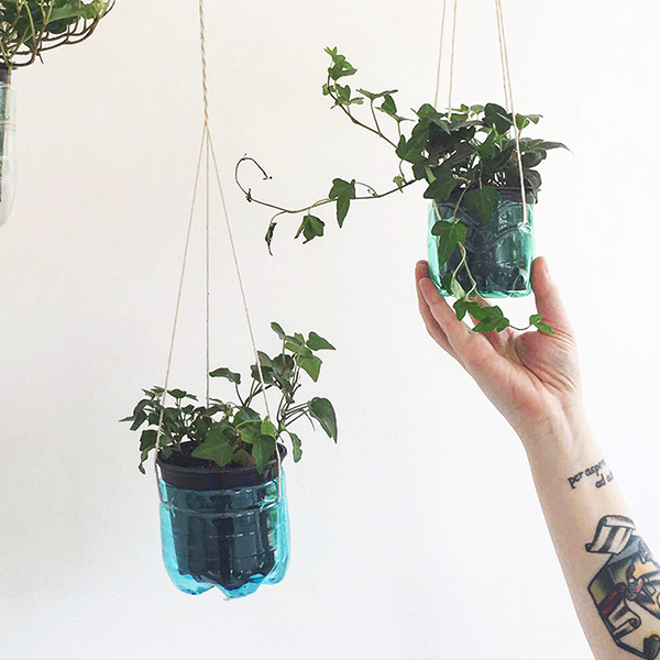 Costruire un giardino verticale in casa utilizzando le bottiglie di plastica