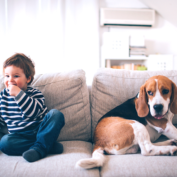 Il divano giusto? 5 aspetti da prendere in considerazione