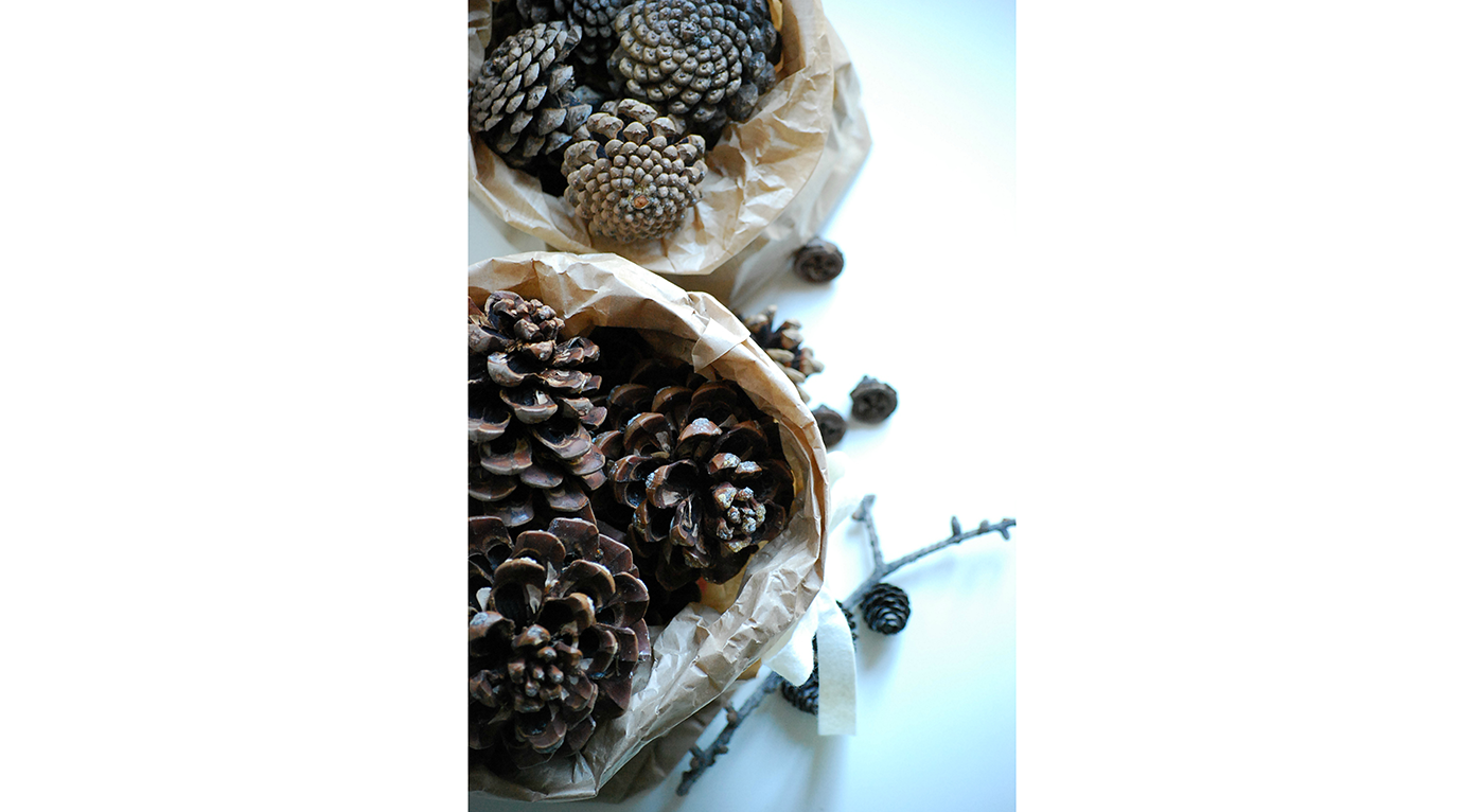 PER4_DSC_4382x.png