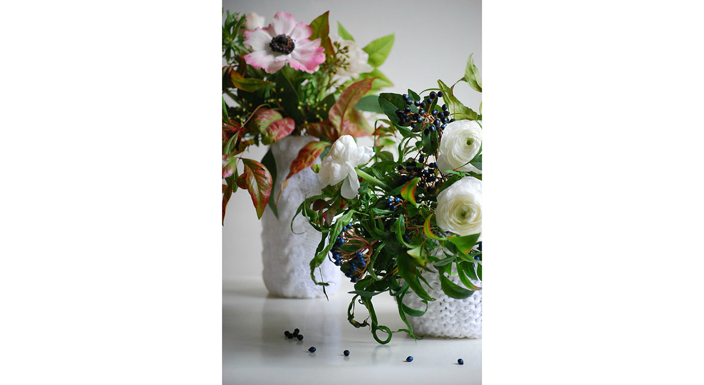 T_DSC_2020.png