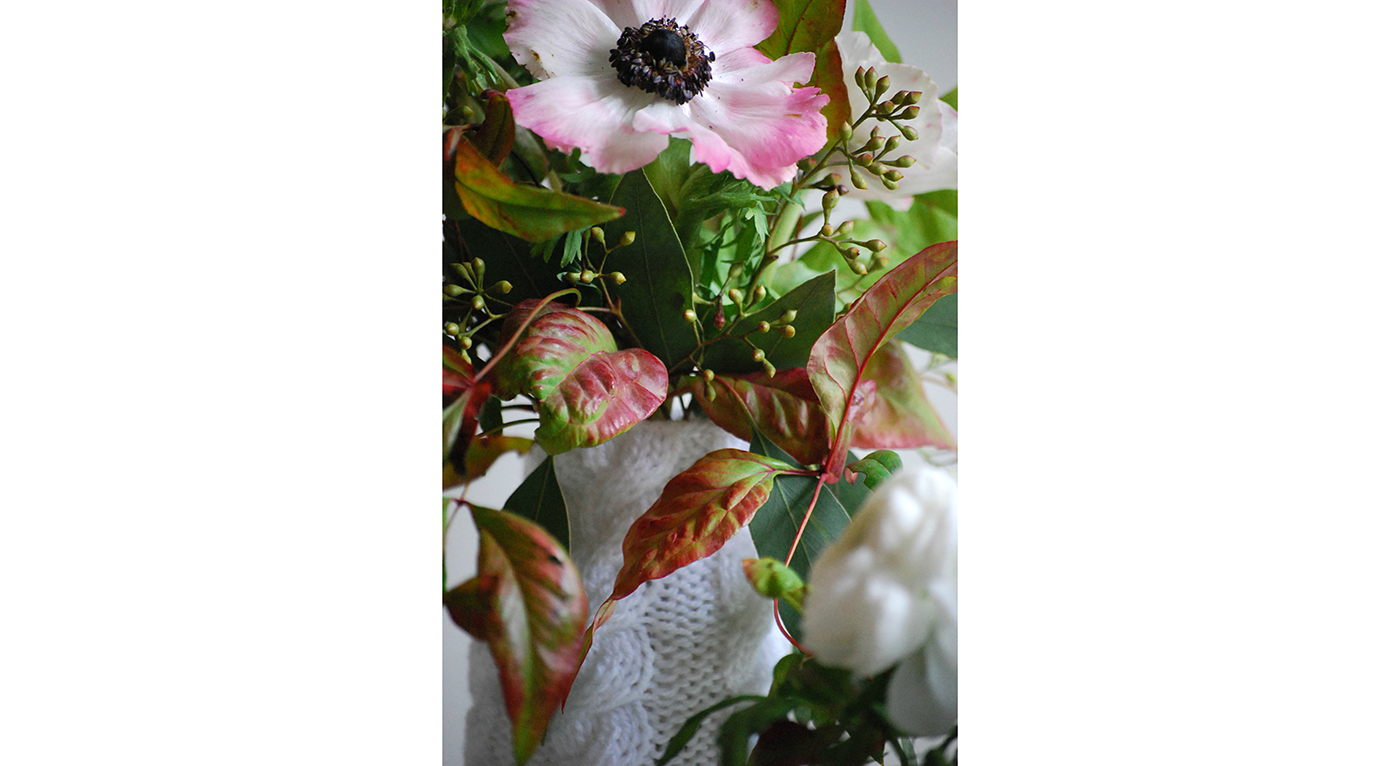 T_DSC_2028.png