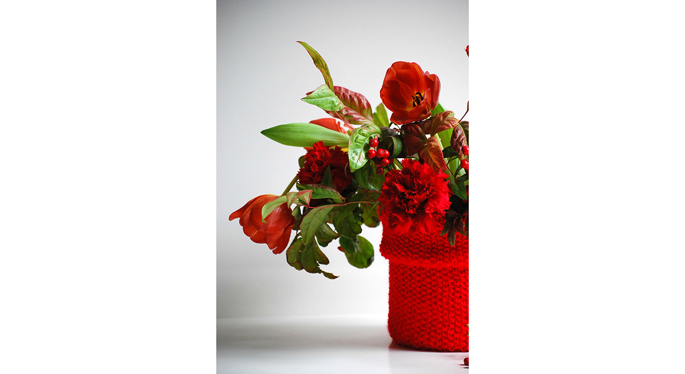 T_DSC_2037.png