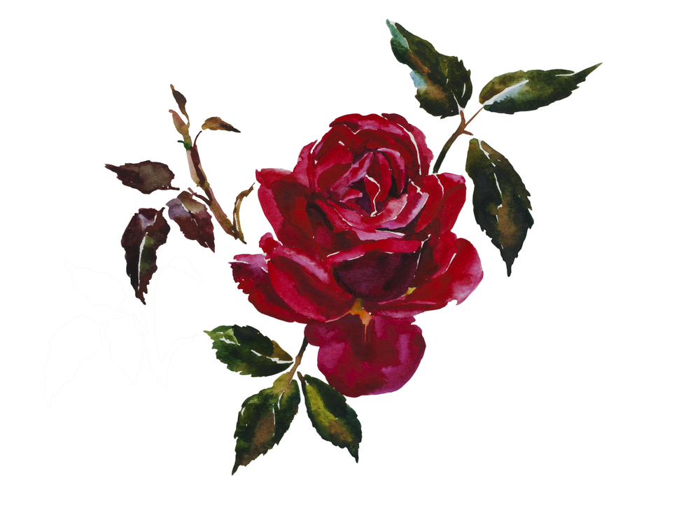 decoupage-san-valentino-decorazioni-floreali-rosa-rossa.jpg