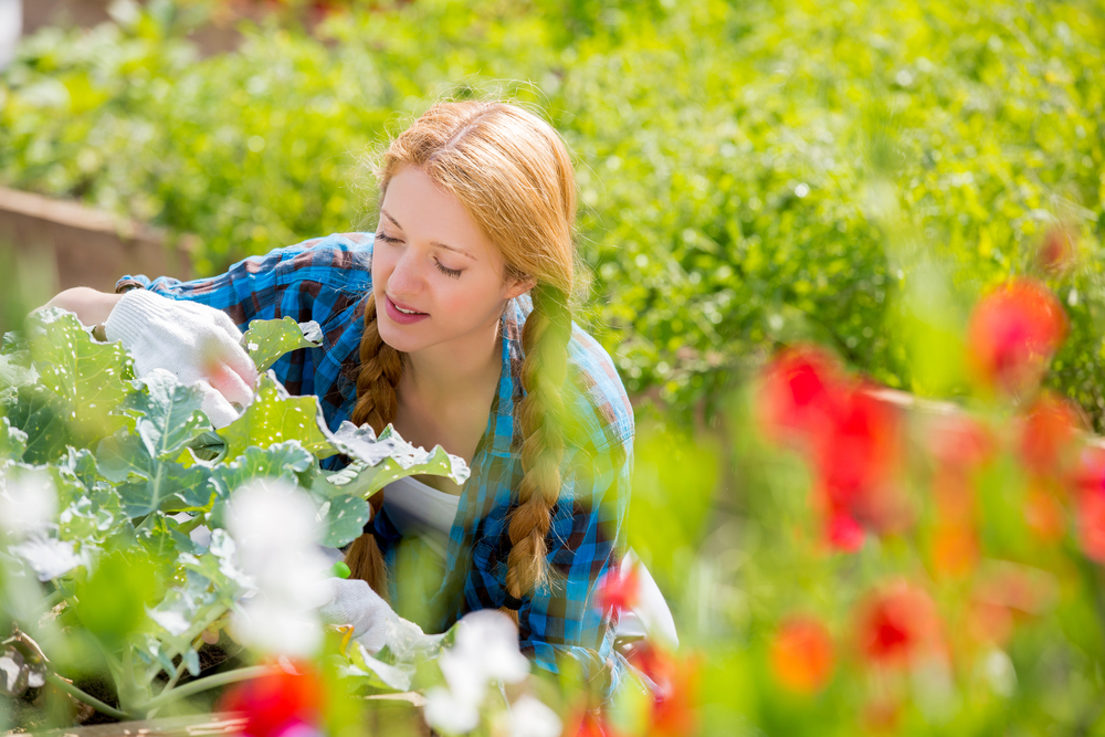 cosa-coltivare-aprile-orto-primavera_1_0.jpg