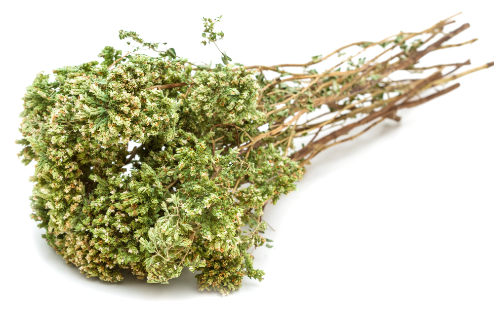 come-conservare-origano-fresco_3.jpg
