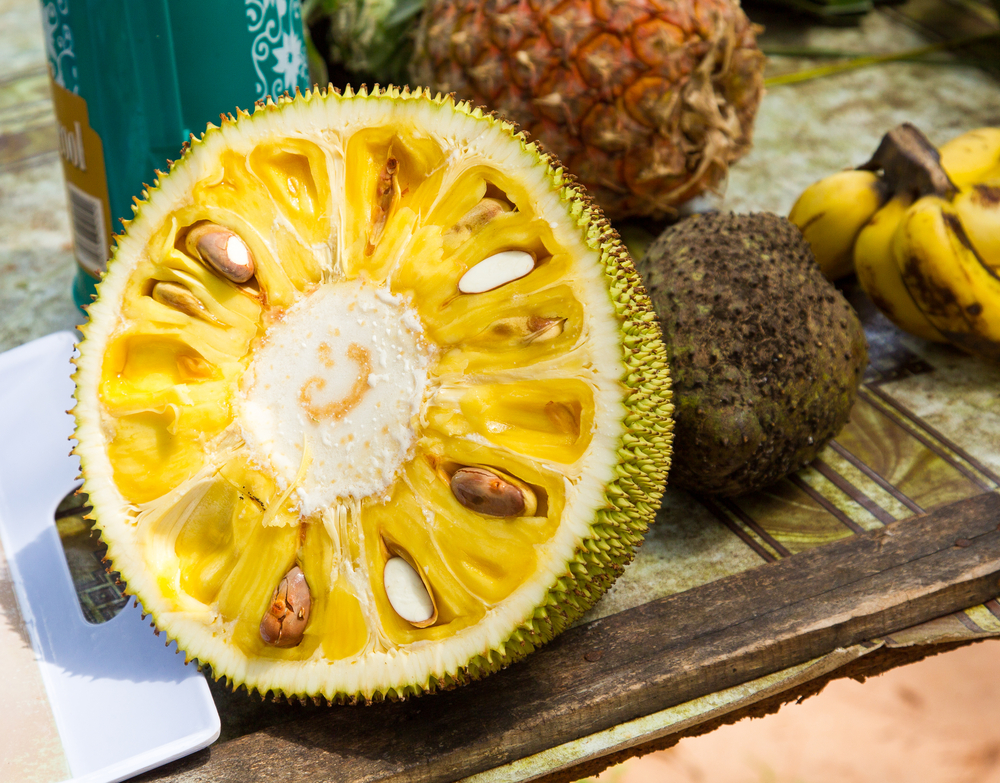 jackfruit-sapore-proprieta_3.jpg