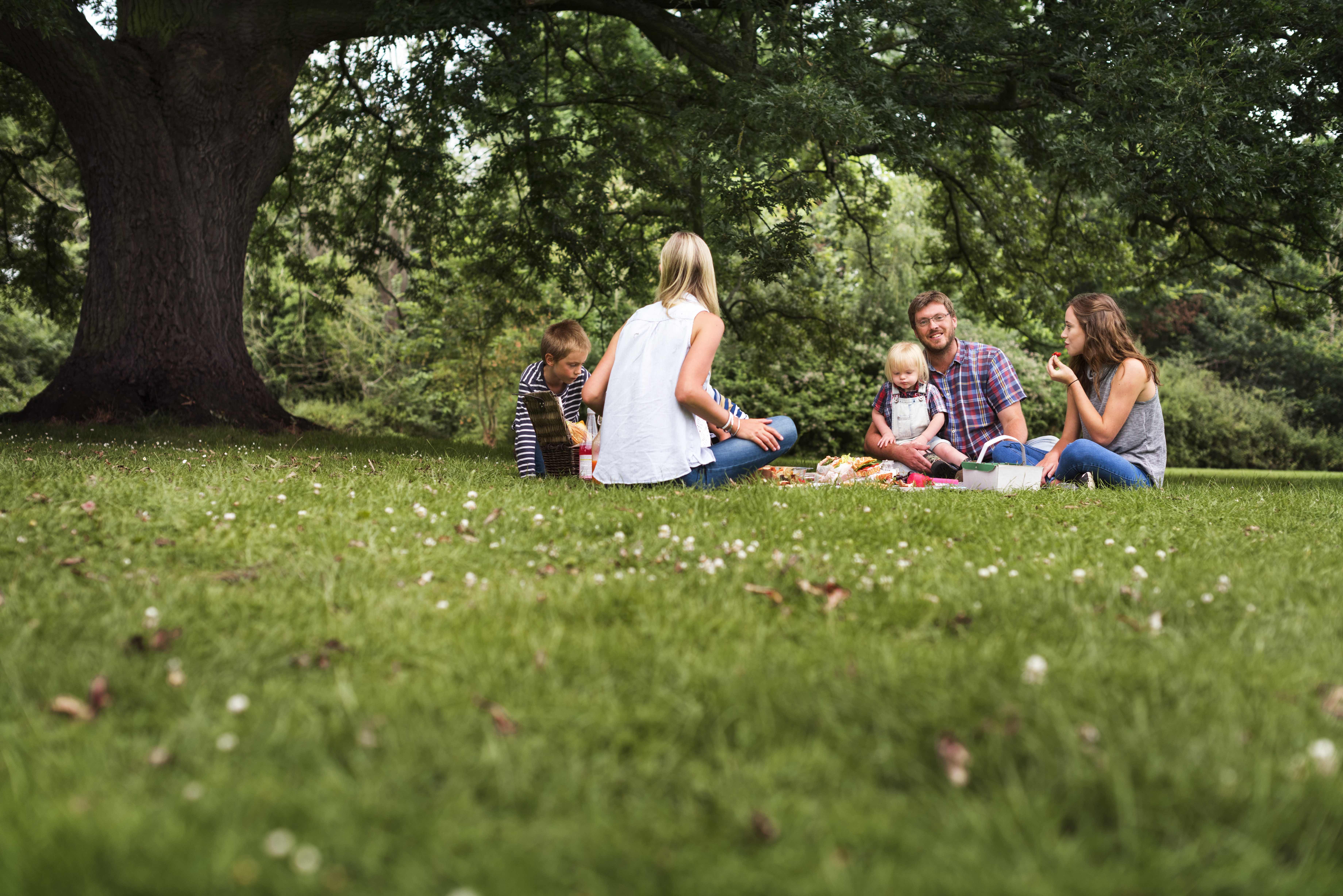 Attacco di vespe durante un pic nic? Usa l’astuzia!
