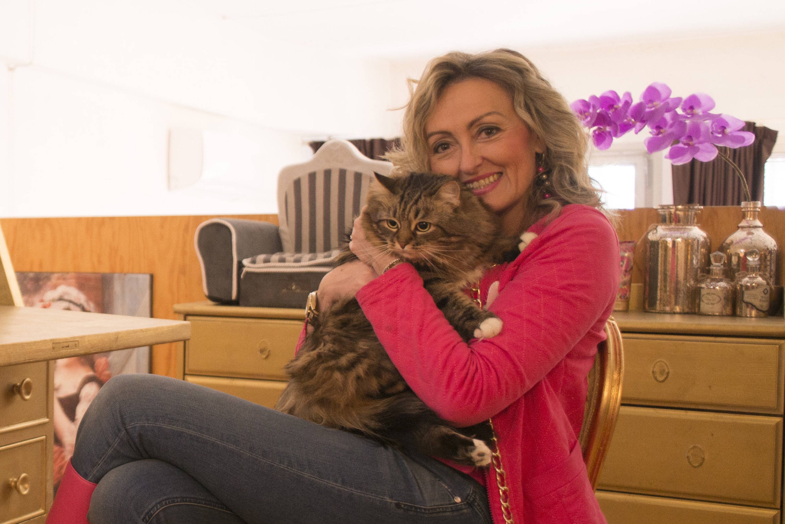 Ho creato un hotel 5 stelle per gatti: Cat Suite Home®