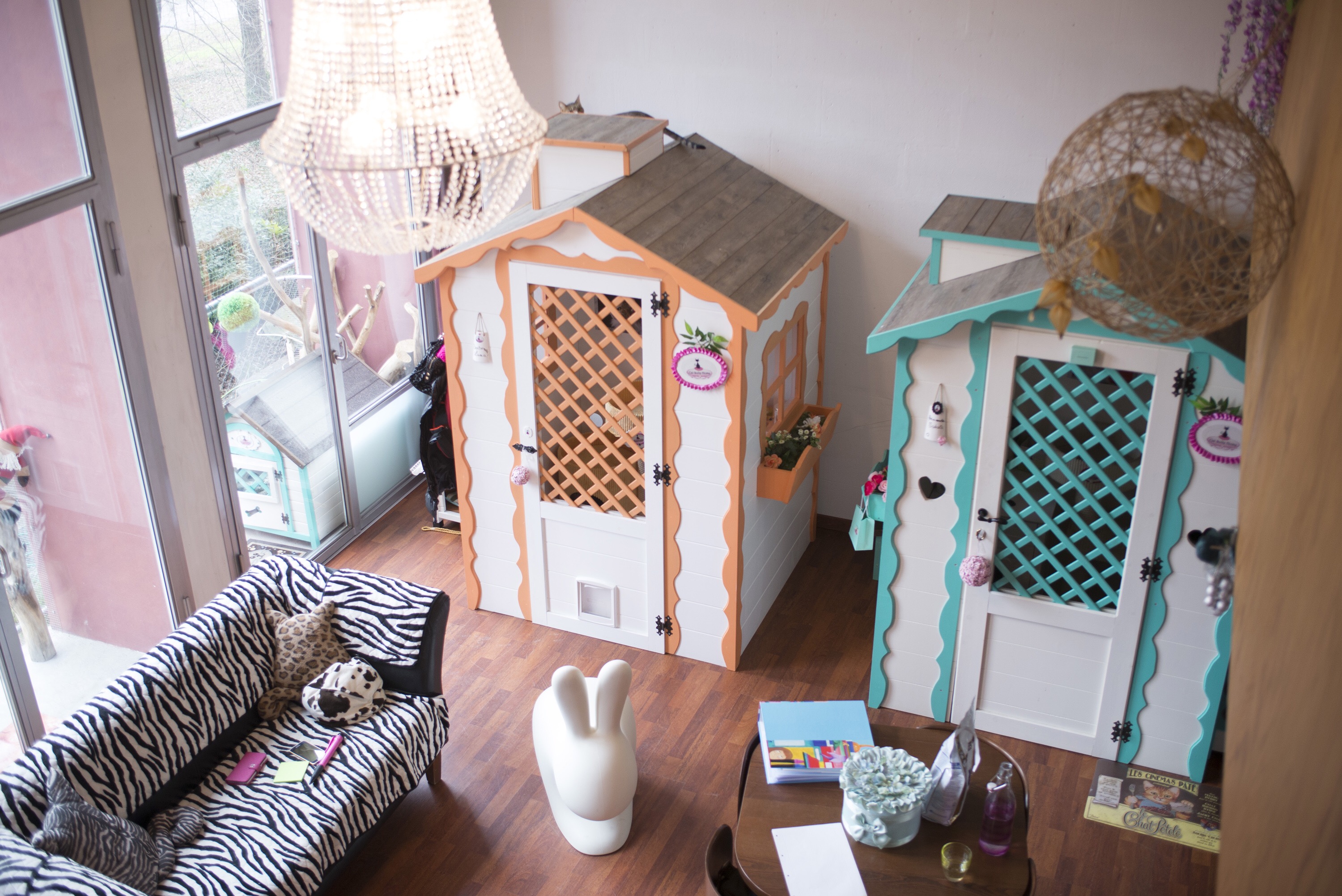cat_suite_home.jpg
