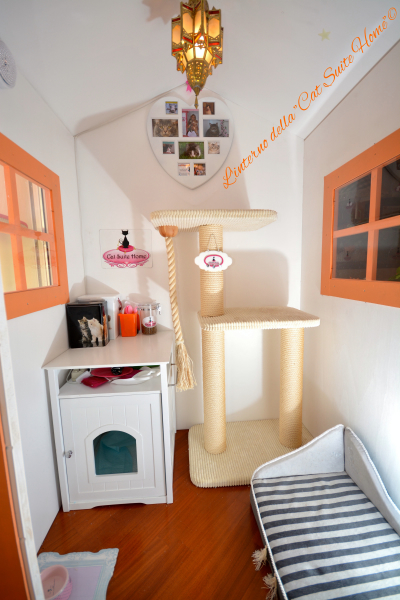 suite-arancio.jpg