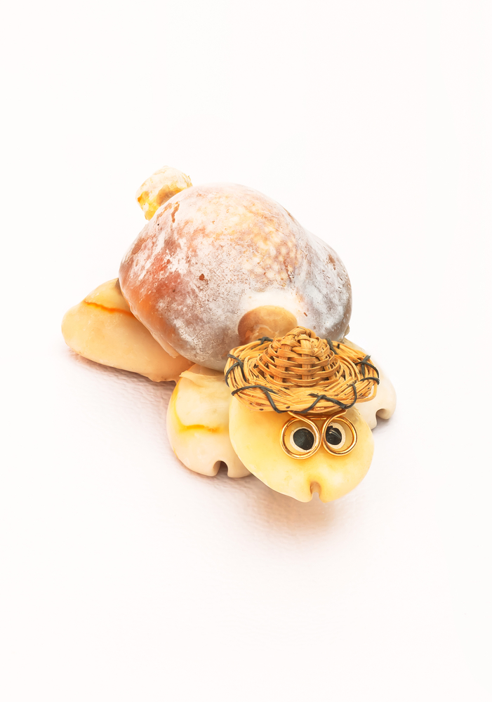 lavoretti-conchiglie-mare-animaletti.jpg