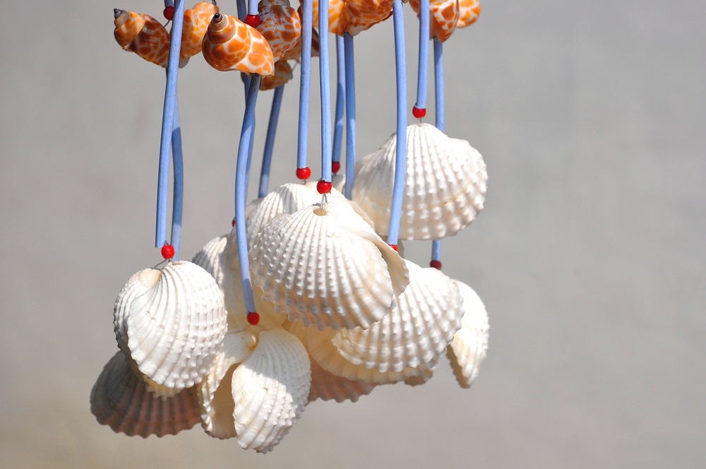 lavoretti-conchiglie-mare-home-decor.jpg