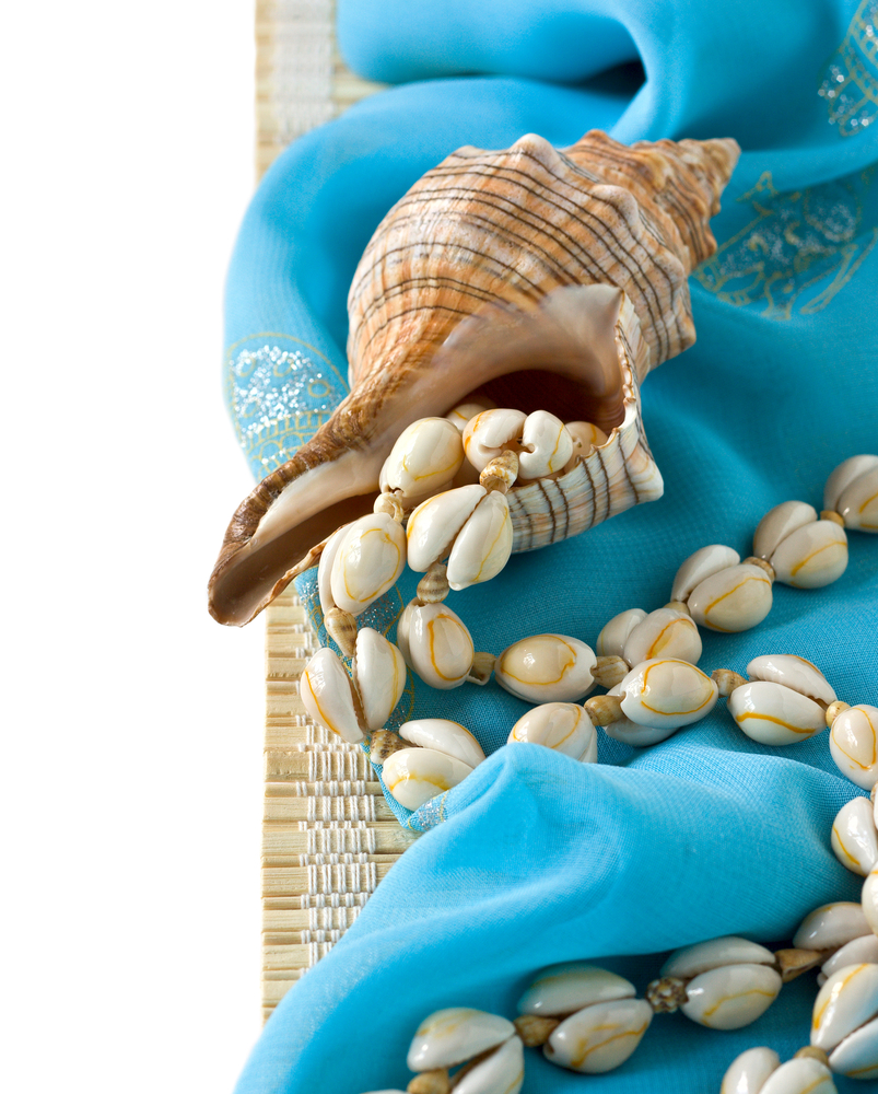 lavoretti-conchiglie-mare-pareo.jpg