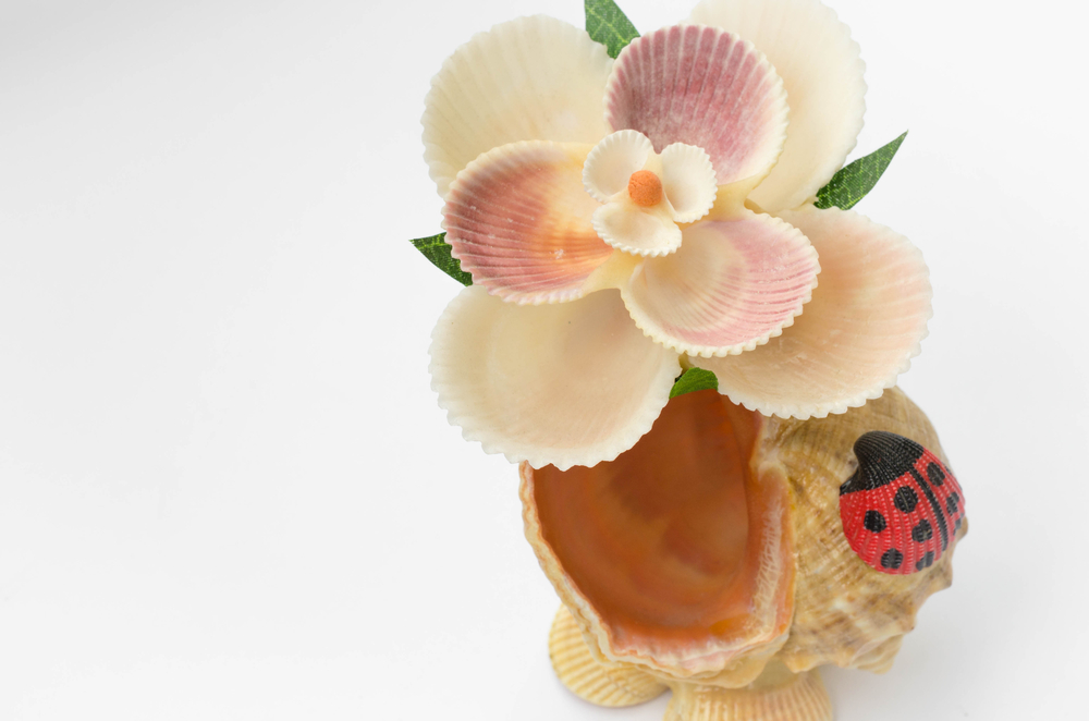 lavoretti-conchiglie-mare-quadro.jpg