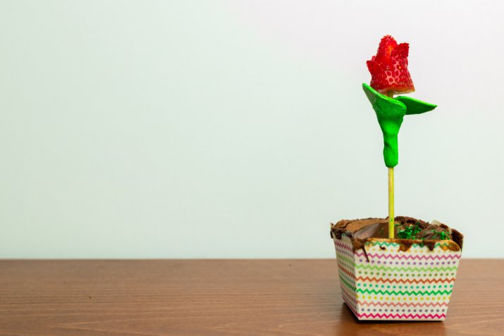 fiori-festa-mamma-fai-da-te_3.jpg