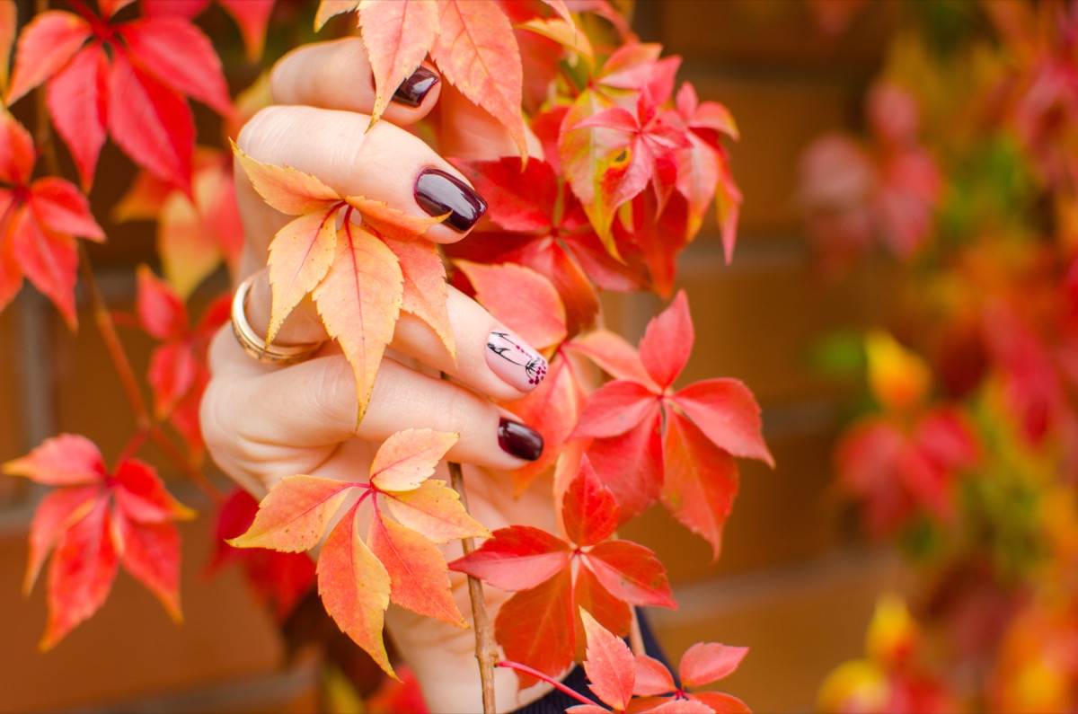 Come realizzare una nail art foliage a tema autunnale in pochi passaggi