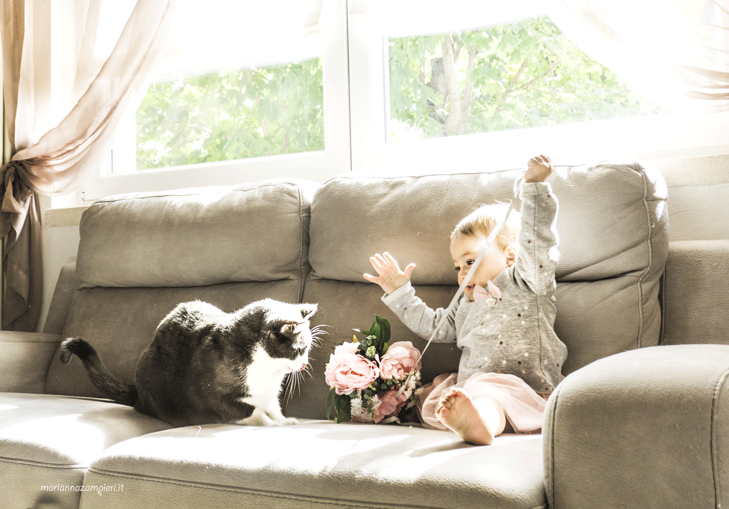 RickyAmanda-CatsKids.gif