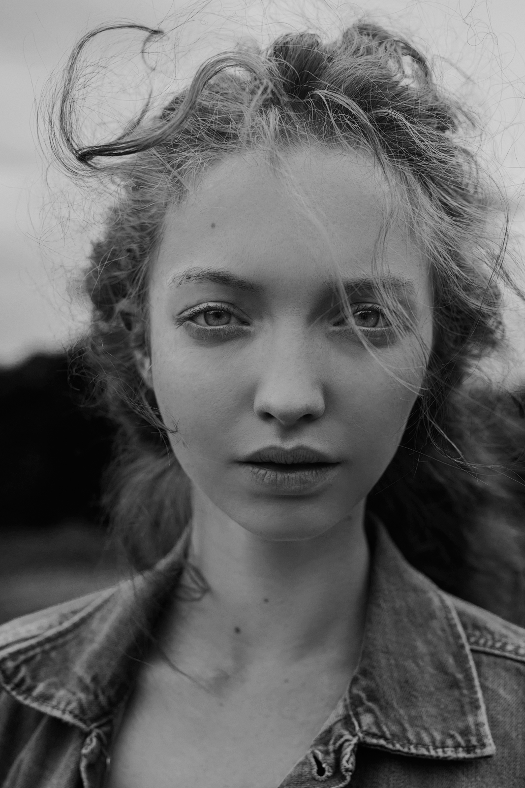 img4.jpg