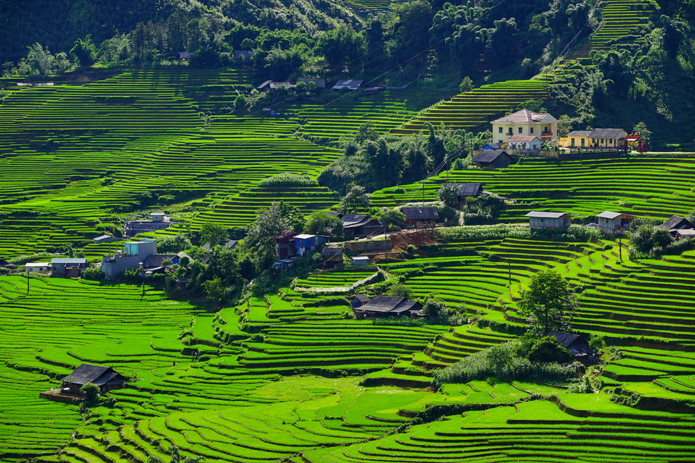 5 hotel ecosostenibili per viaggiatori dall’animo green
