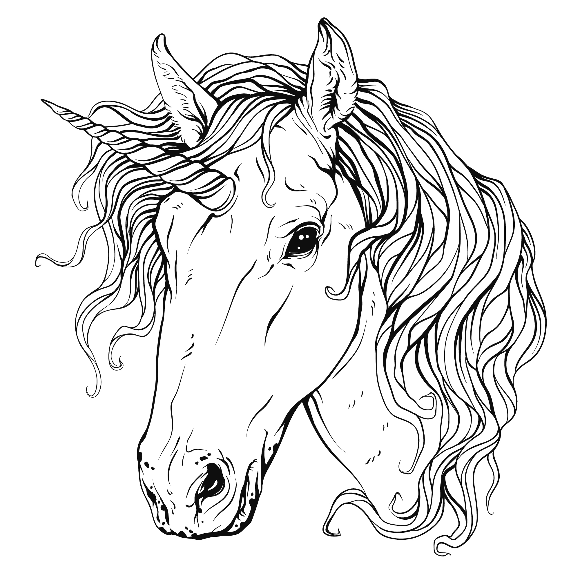 disegni-unicorno-da-colorare-8.jpg
