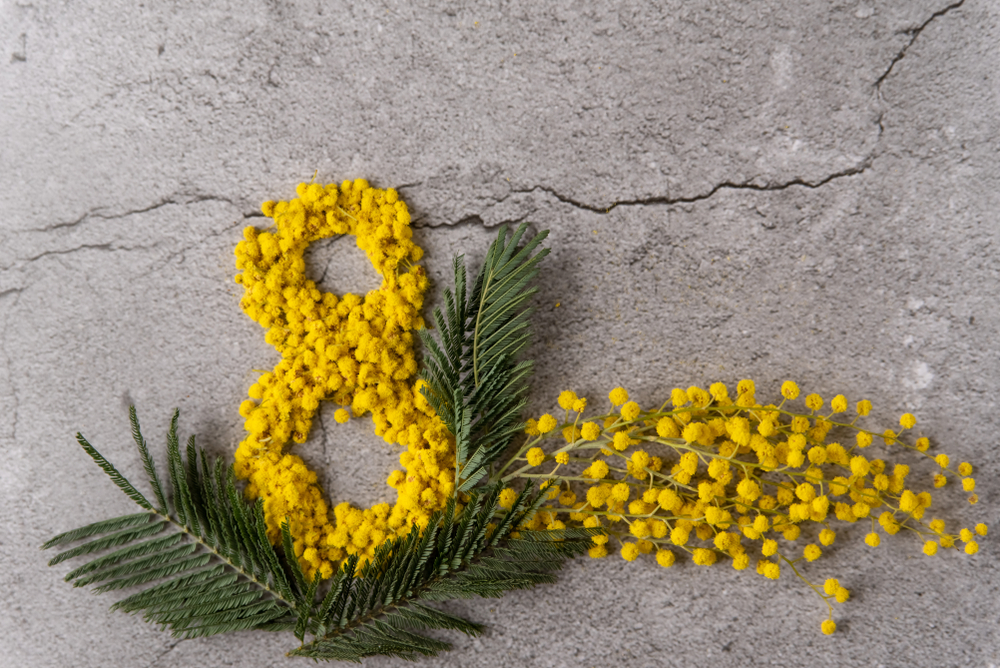 Lavoretti per la festa della donna: il decoupage con la mimosa
