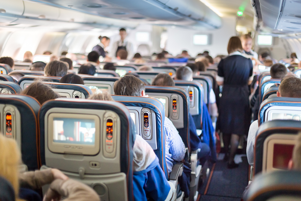 Come affrontare in viaggio aereo quando si è allergici agli animali