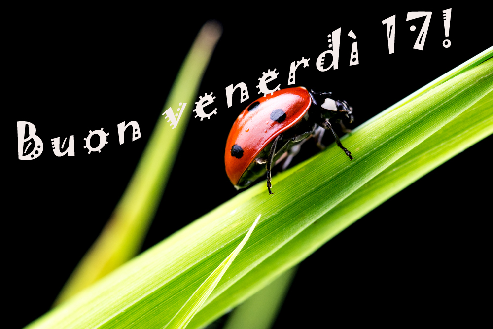 buon-venerdi-17-immagini-4.jpg