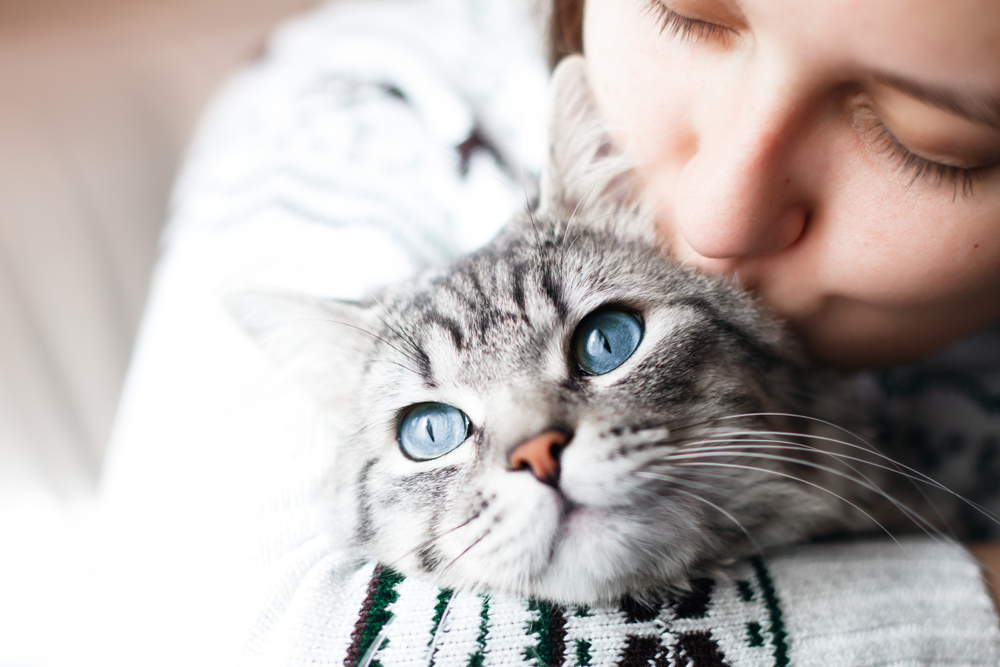 4 errori da evitare se viviamo con un gatto