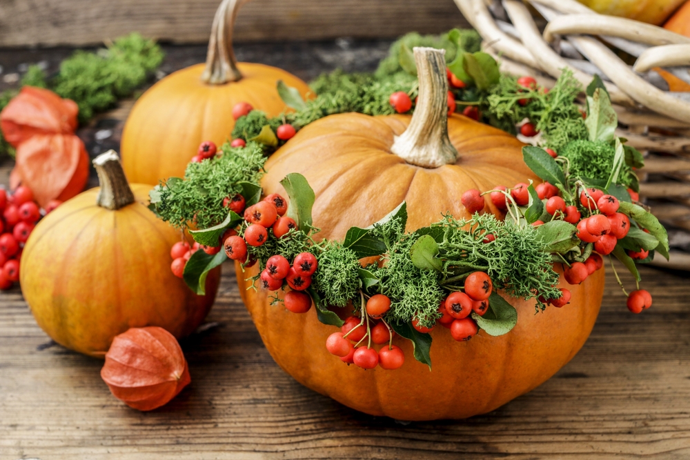 come-decorare-zucca-6.jpg