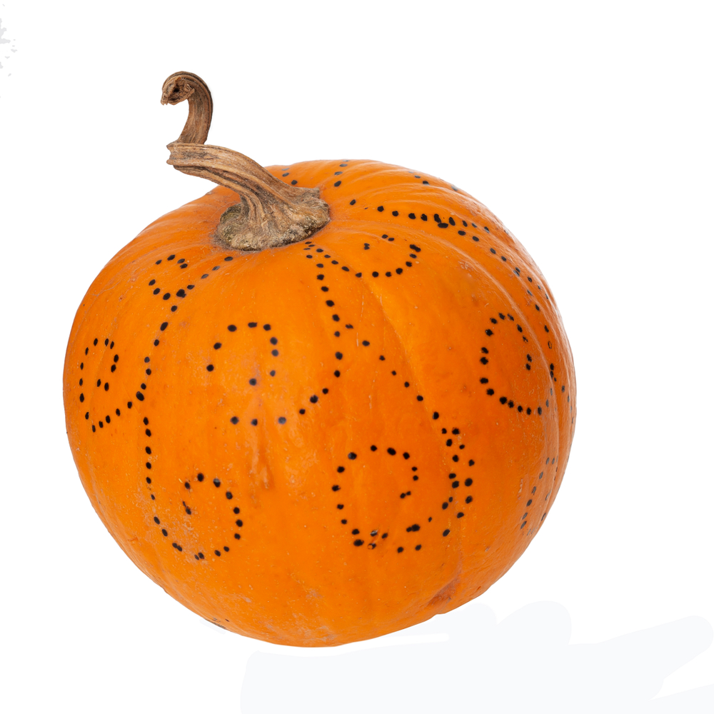 come-decorare-zucca-8.jpg