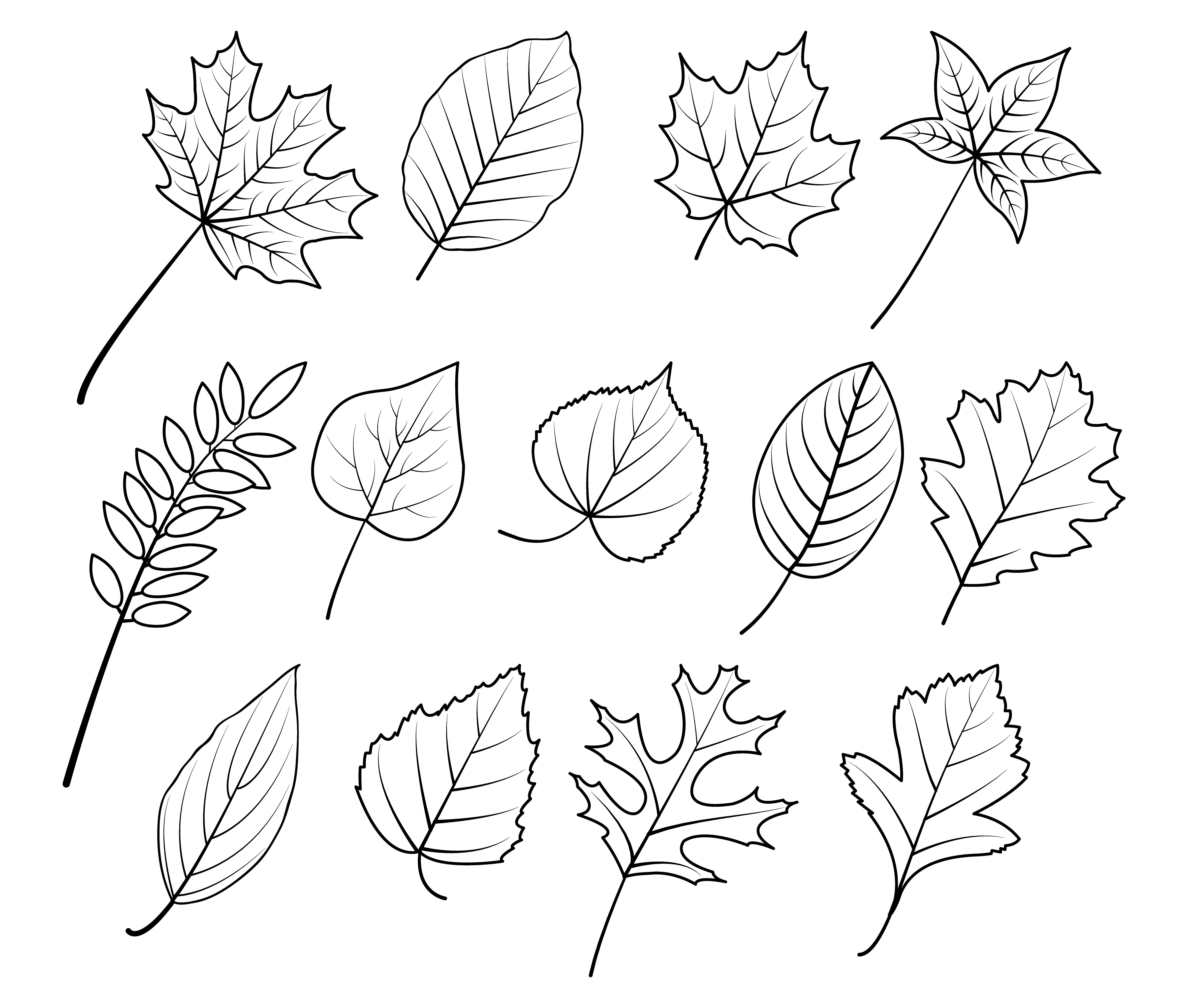disegni-da-ricamare-punto-catenella-autunno-1.jpg