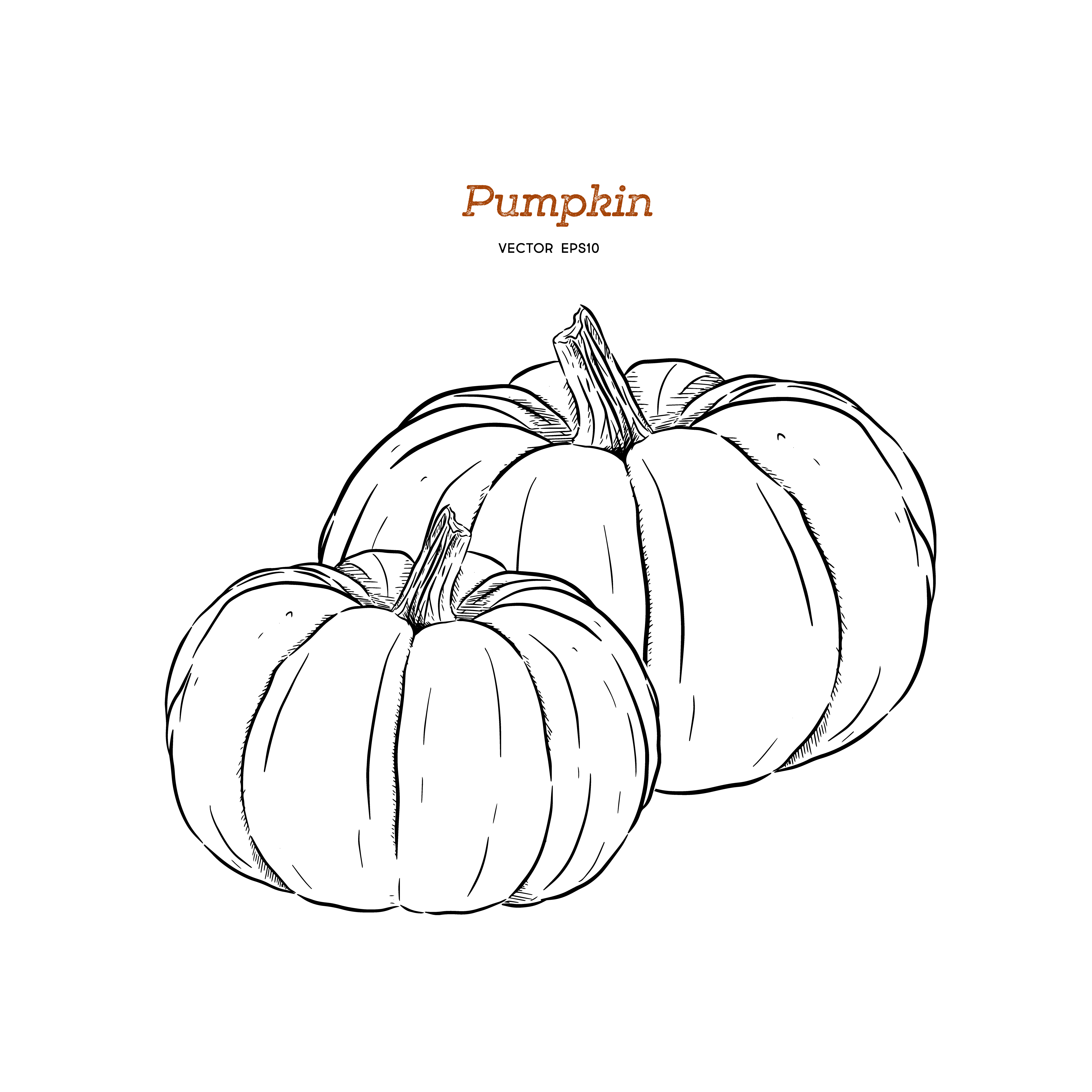 disegni-da-ricamare-punto-catenella-autunno-3.jpg