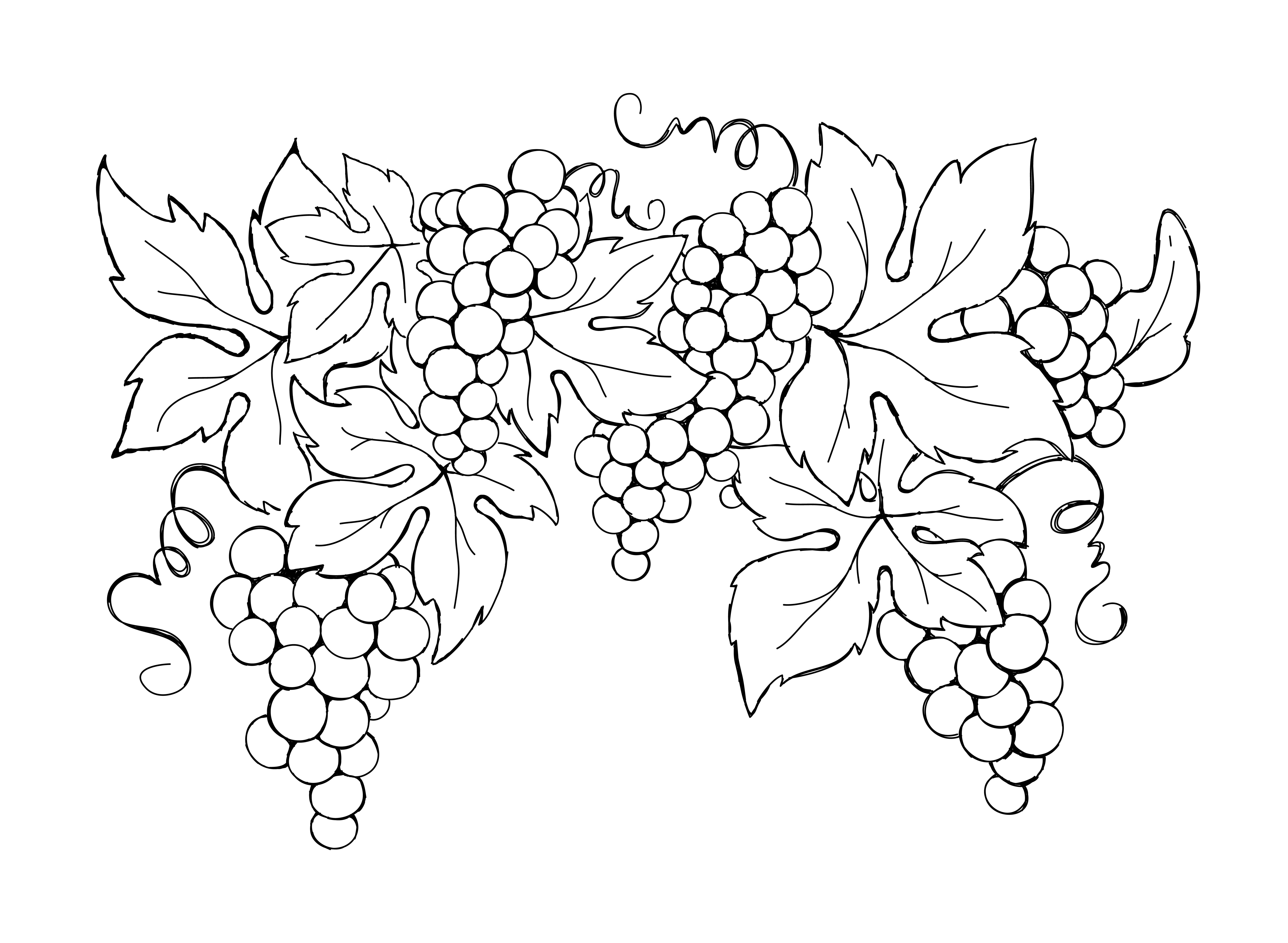 disegni-da-ricamare-punto-catenella-autunno-7_0.jpg