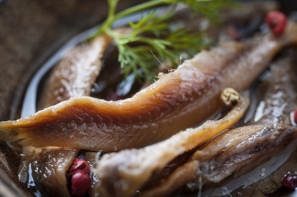 Ricette con alici: due piatti semplici e sfiziosi