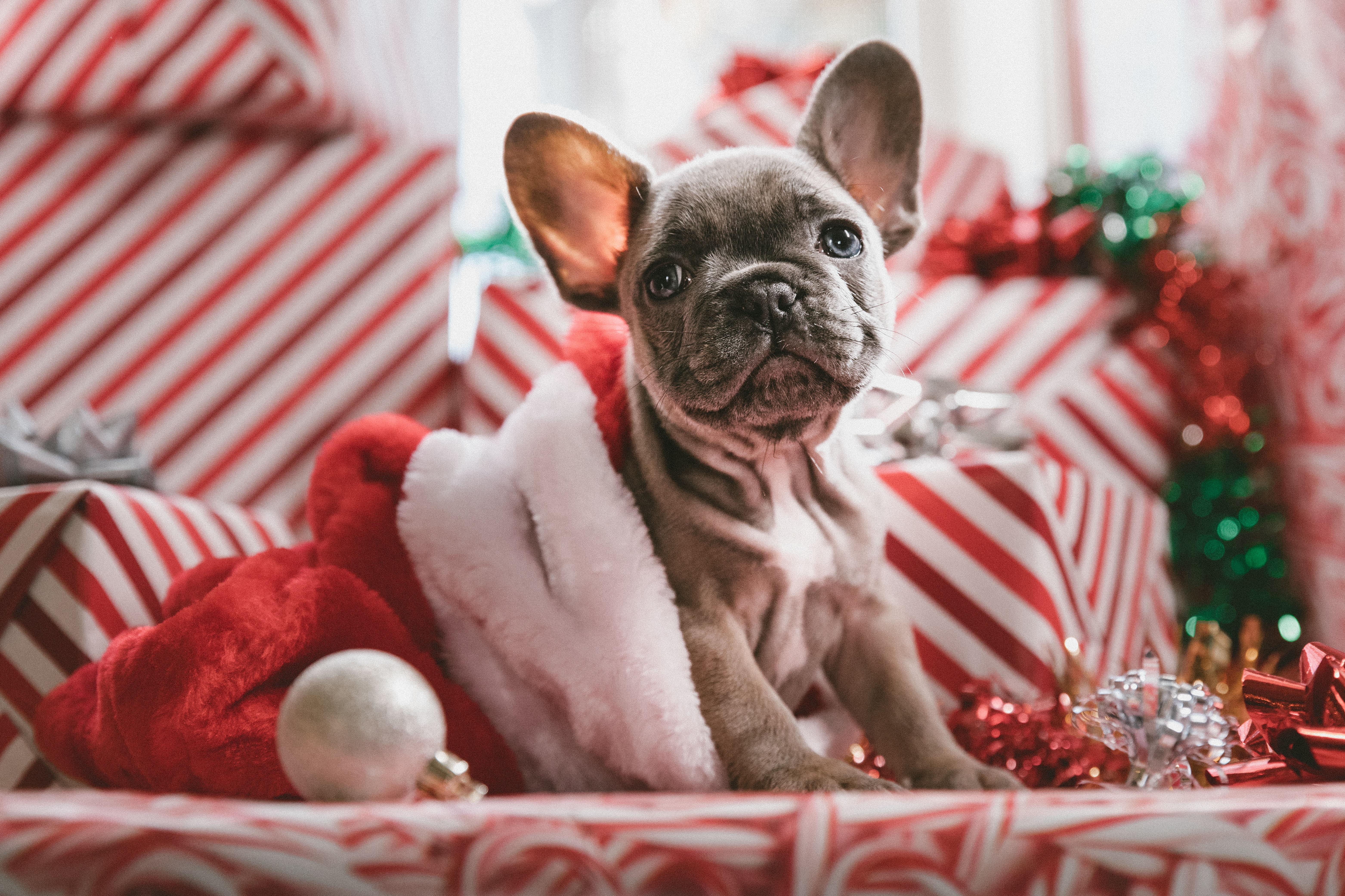 buone-feste-immagini-6.jpg