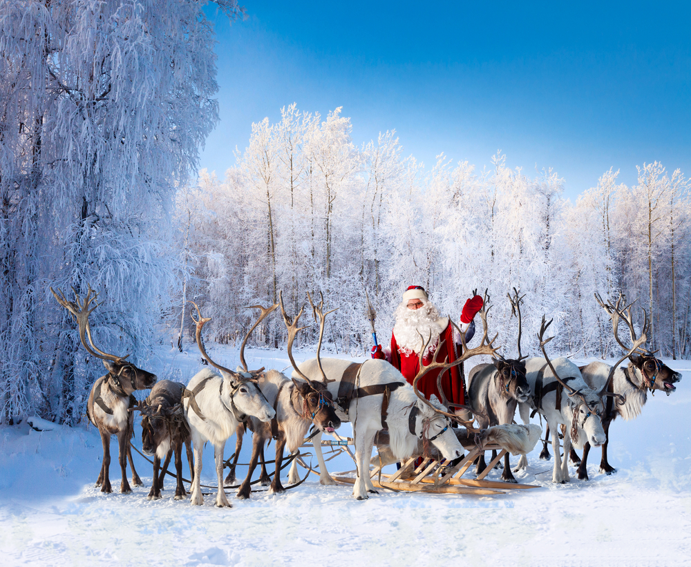 Renne di Babbo Natale: quante sono e come si chiamano?
