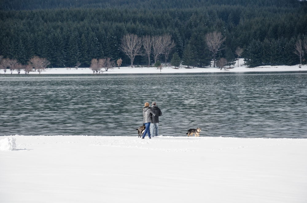 dove-andare-ponte-san-valentino-sila_0.jpg