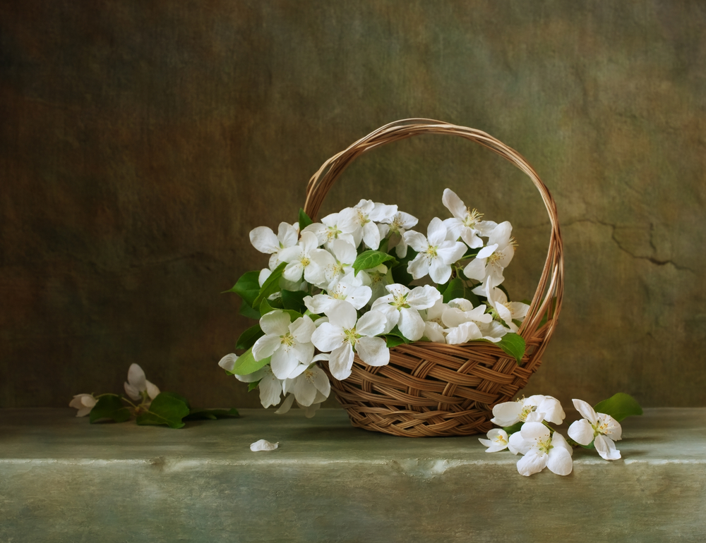 sfondi-desktop-primavera-2.jpg
