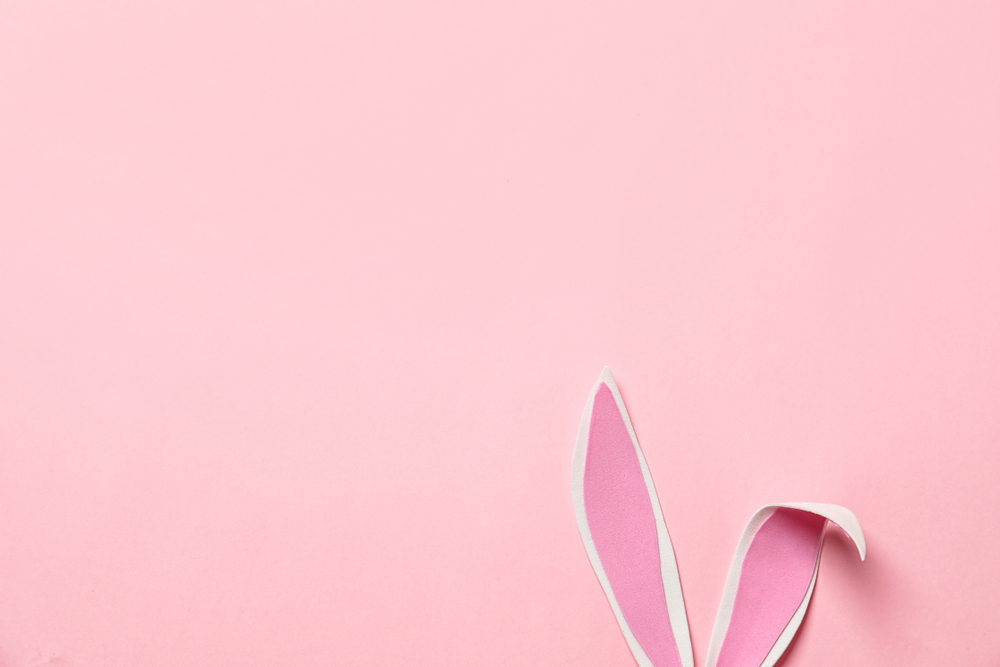 Idee per Pasqua: il coniglio di carta portaovetti