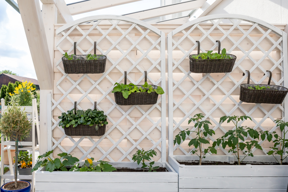Orto verticale sul balcone: come realizzarlo con facilità