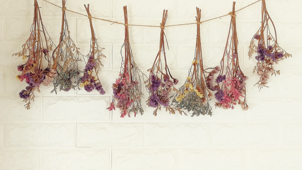 Sognare fiori secchi: il significato del sogno