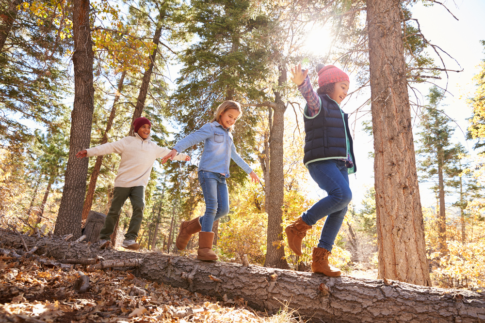 Come fare una bella camminata con i bambini