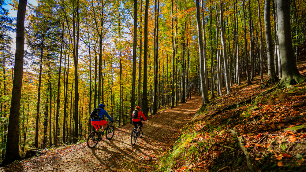 Sport e autunno, quale attività scegliere in questa stagione?