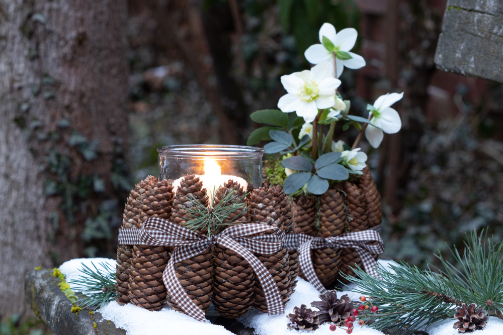 quali-fiori-coltivare-natale-elleboro.jpg